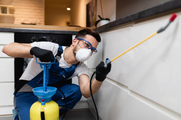 Professional Pest Control in Hagaman, NY