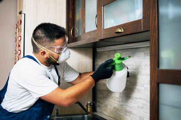 Best Emergency Pest Control  in Hagaman, NY