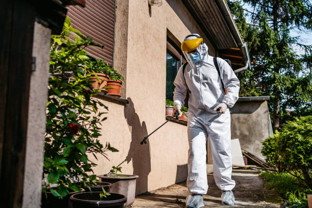 Best Commercial Pest Control Services  in Hagaman, NY