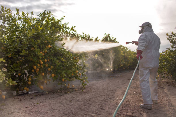 Best Wildlife Control Services  in Hagaman, NY