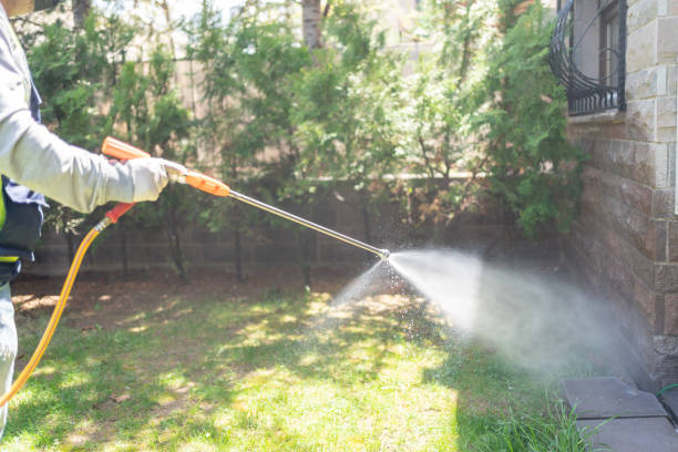 Best Affordable Pest Control Services  in Hagaman, NY