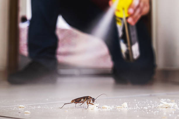 Best Pest Prevention Services  in Hagaman, NY