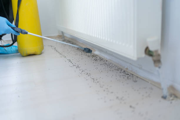 Best Residential Pest Control  in Hagaman, NY
